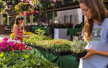 Women at market