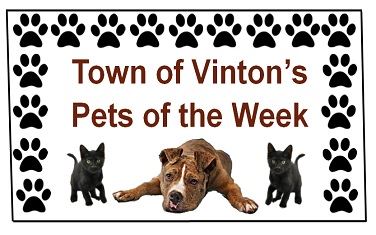 pets of the week jpeg for spotlight REVISED