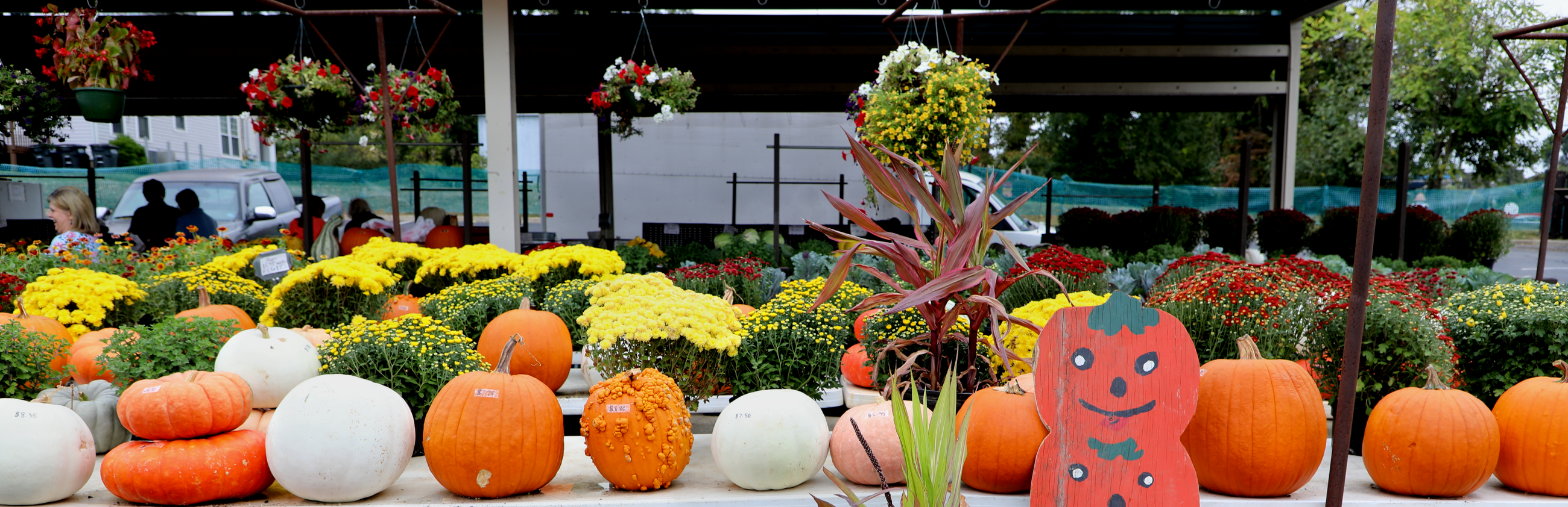 Pumpkins on a table at the Vinton Farmer's Market