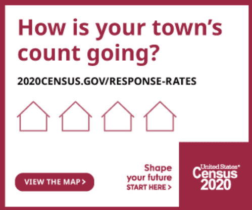 Census 2020 Count graphic