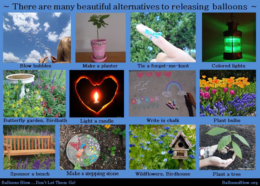 collage of suggested alternatives to balloon releases